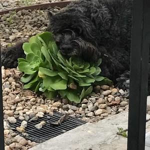 Meet your Posher, Maureen